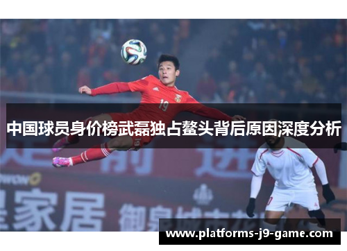 中国球员身价榜武磊独占鳌头背后原因深度分析 中国球员身价榜武磊独占鳌头背后原因深度分析