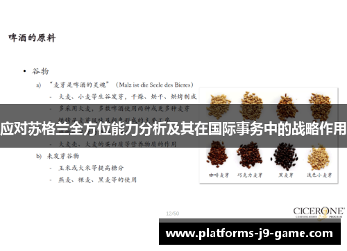 应对苏格兰全方位能力分析及其在国际事务中的战略作用 应对苏格兰全方位能力分析及其在国际事务中的战略作用