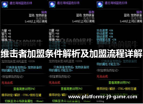 维击者加盟条件解析及加盟流程详解 维击者加盟条件解析及加盟流程详解