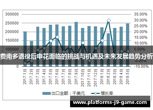 费南多退役后申花面临的挑战与机遇及未来发展趋势分析 费南多退役后申花面临的挑战与机遇及未来发展趋势分析